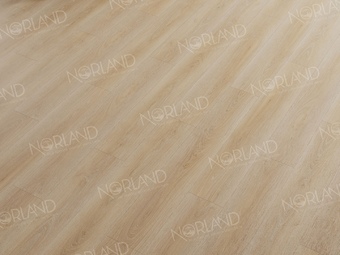 Norland Eli 1001-6